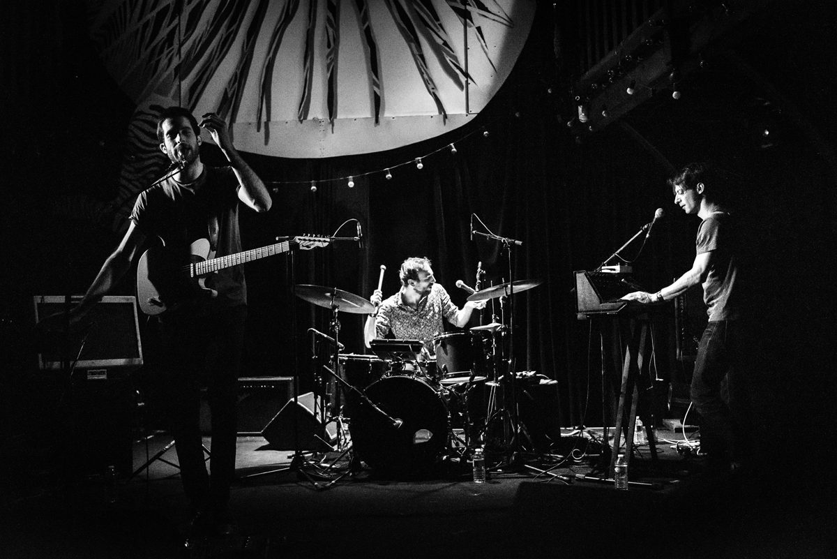 Volin en concert au Zèbre de Belleville © Fred Petit